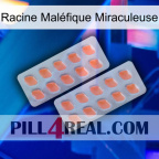 Racine Maléfique Miraculeuse 27